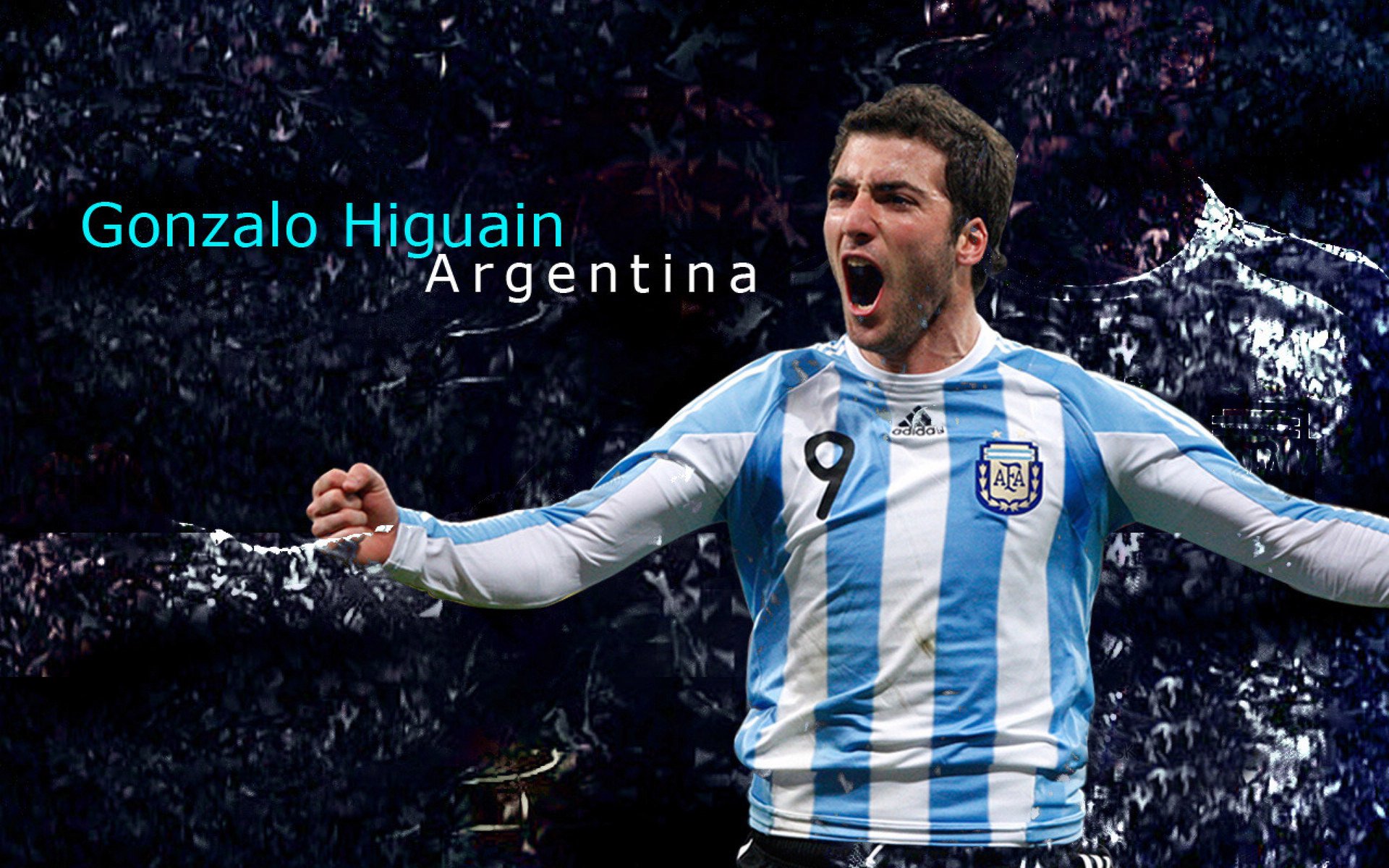 篮球赛季年度总结